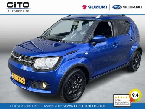 Used SUZUKI IGNIS Petrol 2017 Ad 