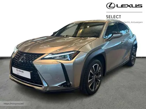 Used LEXUS UX Hybrid 2020 Ad Belgium