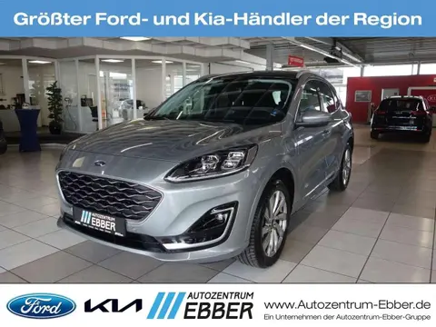 Annonce FORD KUGA Hybride 2023 d'occasion 