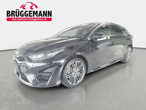 Used KIA PROCEED Petrol 2024 Ad 