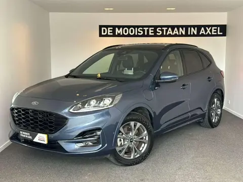 Used FORD KUGA Hybrid 2020 Ad 