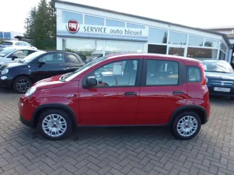 Used FIAT PANDA Petrol 2024 Ad 