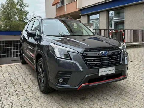 Annonce SUBARU FORESTER Hybride 2024 d'occasion 