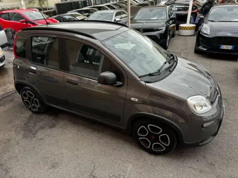 Used FIAT PANDA Petrol 2022 Ad 