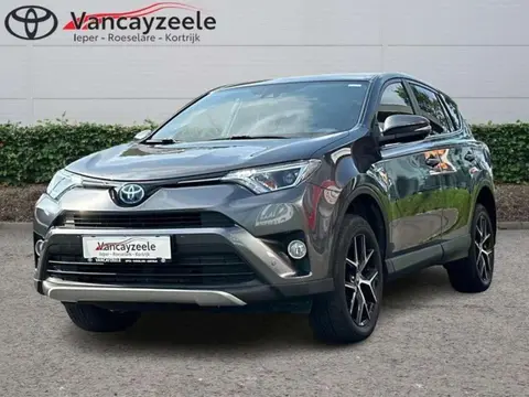 Used TOYOTA RAV4 Hybrid 2017 Ad Belgium