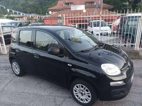 Used FIAT PANDA Petrol 2019 Ad 