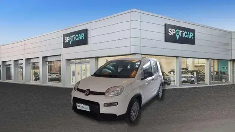 Annonce FIAT PANDA  2024 d'occasion 