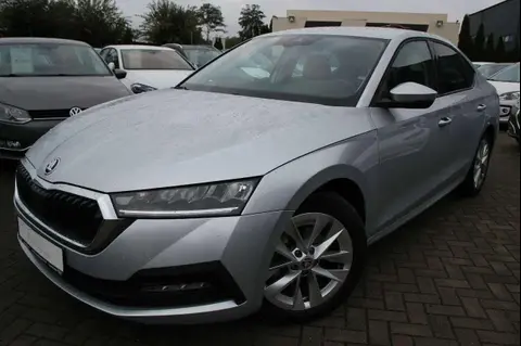 Used SKODA OCTAVIA Petrol 2021 Ad 