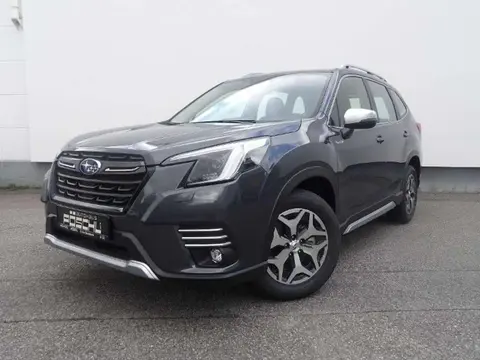 Annonce SUBARU FORESTER Essence 2024 d'occasion 