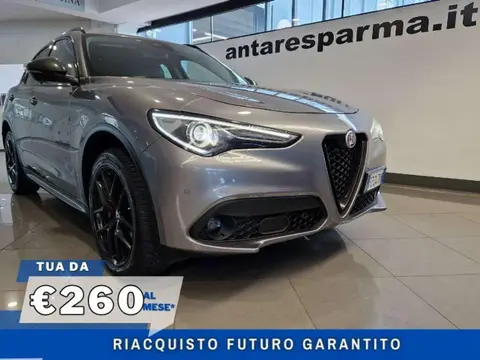 Used ALFA ROMEO STELVIO Diesel 2019 Ad 