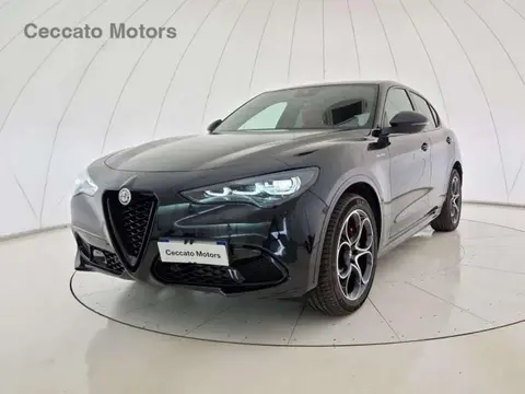 Annonce ALFA ROMEO STELVIO Diesel 2023 d'occasion 