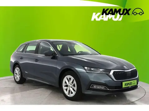 Used SKODA OCTAVIA Petrol 2020 Ad 