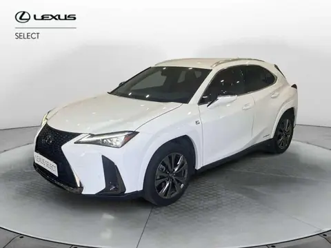 Used LEXUS UX Hybrid 2021 Ad 