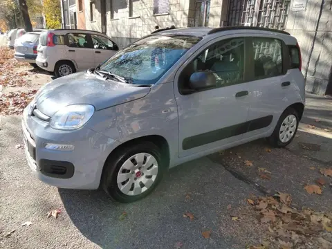 Used FIAT PANDA Hybrid 2022 Ad 