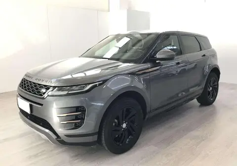 Used LAND ROVER RANGE ROVER EVOQUE Hybrid 2019 Ad 