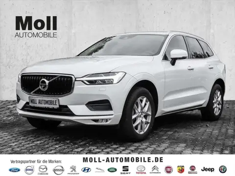 Used VOLVO XC60 Diesel 2020 Ad 