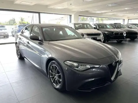 Used ALFA ROMEO GIULIA Diesel 2019 Ad 