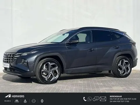 Annonce HYUNDAI TUCSON Hybride 2023 d'occasion 