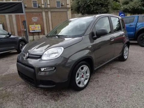 Annonce FIAT PANDA Hybride 2023 d'occasion 