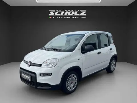 Annonce FIAT PANDA Essence 2024 d'occasion 