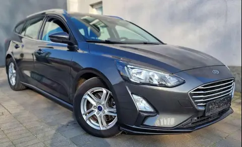 Annonce FORD FOCUS Diesel 2019 d'occasion 