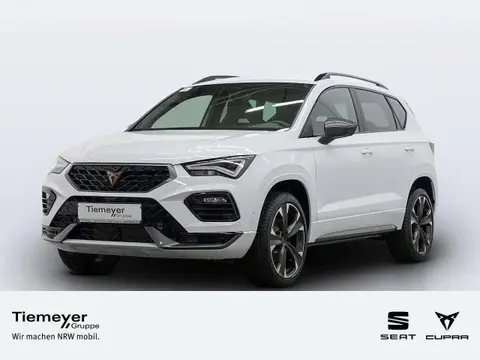 Used CUPRA ATECA Petrol 2024 Ad 