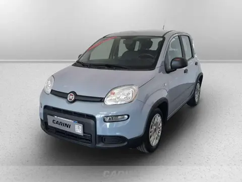 Used FIAT PANDA Hybrid 2023 Ad 