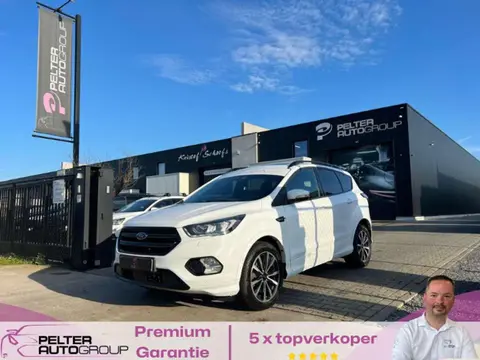 Used FORD KUGA Diesel 2019 Ad 