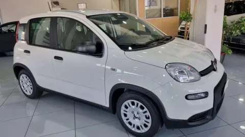 Used FIAT PANDA Hybrid 2024 Ad 