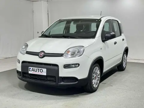 Used FIAT PANDA Hybrid 2024 Ad 