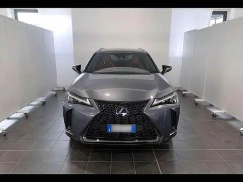 Used LEXUS UX Hybrid 2019 Ad 