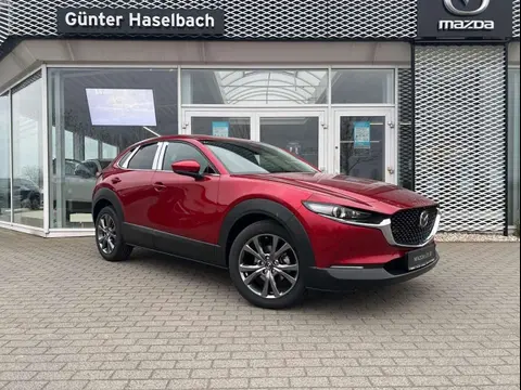 Annonce MAZDA CX-30 Essence 2024 d'occasion 