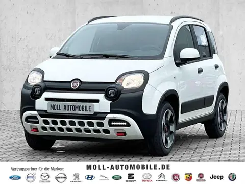 Used FIAT PANDA Petrol 2024 Ad 