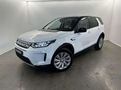 Used LAND ROVER DISCOVERY Hybrid 2021 Ad 