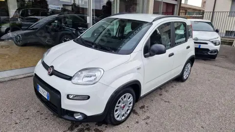 Used FIAT PANDA Petrol 2022 Ad 