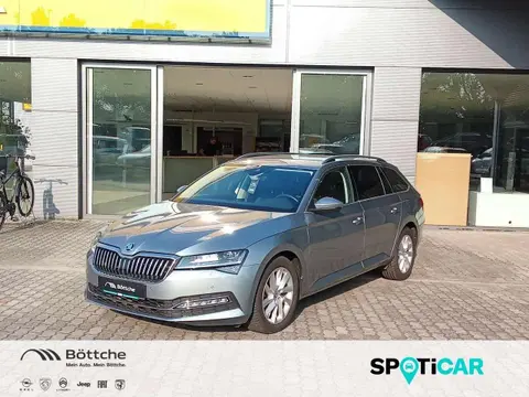 Used SKODA SUPERB Diesel 2021 Ad 