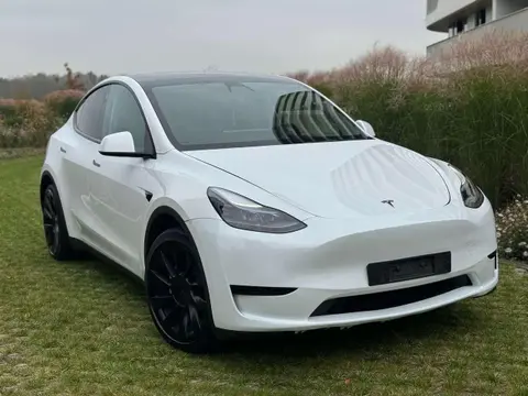 Used TESLA MODEL Y Electric 2023 Ad 