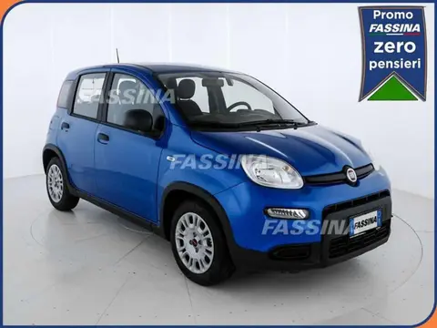 Annonce FIAT PANDA Hybride 2024 d'occasion 