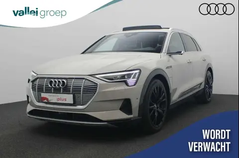 Used AUDI E-TRON Electric 2019 Ad 