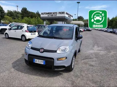 Used FIAT PANDA Hybrid 2022 Ad 