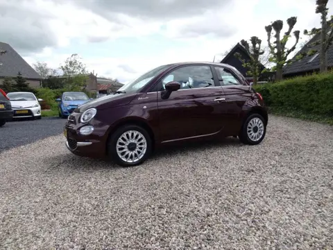 Annonce FIAT 500 Essence 2021 d'occasion 