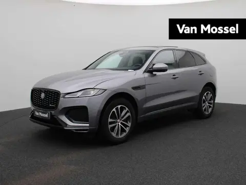 Used JAGUAR F-PACE Hybrid 2021 Ad 