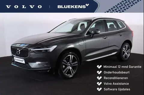 Annonce VOLVO XC60 Hybride 2021 d'occasion 