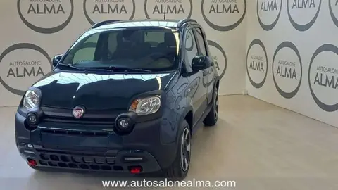 Used FIAT PANDA Hybrid 2023 Ad 