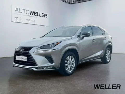 Annonce LEXUS NX Hybride 2021 d'occasion 