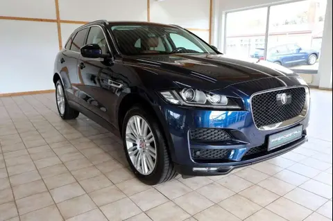 Used JAGUAR F-PACE Diesel 2018 Ad 