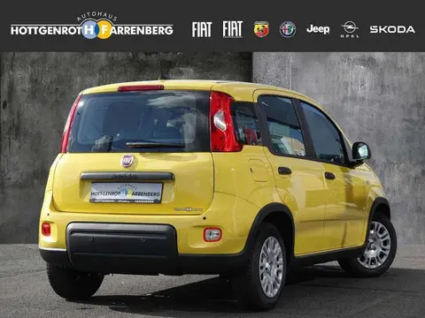 Annonce FIAT PANDA Essence 2024 d'occasion 