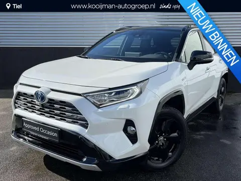 Used TOYOTA RAV4 Hybrid 2019 Ad 