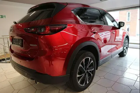 Used MAZDA CX-5 Petrol 2024 Ad 