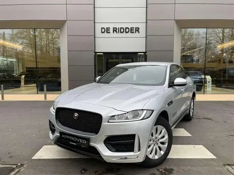 Used JAGUAR F-PACE Diesel 2020 Ad 